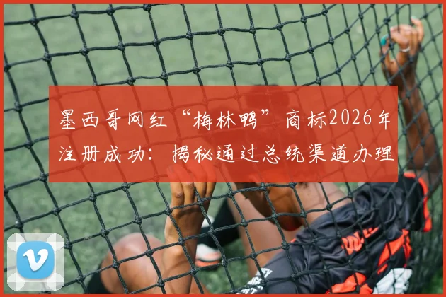 墨西哥网红“梅林鸭”商标2026年注册成功：揭秘通过总统渠道办理的流程与个人品牌保护启示