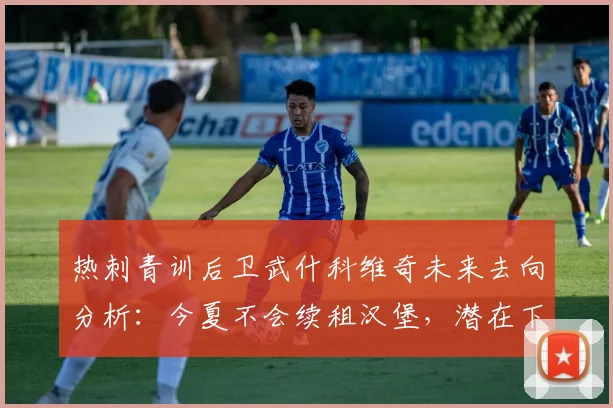 热刺青训后卫武什科维奇未来去向分析:今夏不会续租汉堡,潜在下家与续约前景探讨