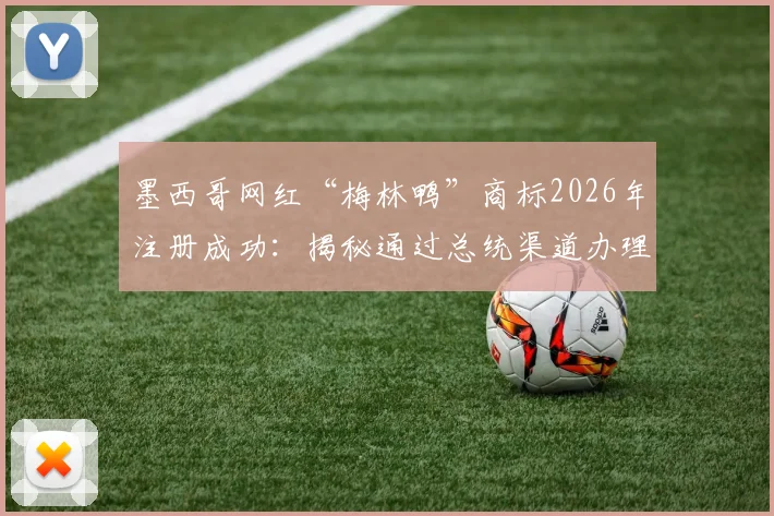 墨西哥网红“梅林鸭”商标2026年注册成功:揭秘通过总统渠道办理的流程与个人品牌保护启示