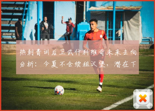 热刺青训后卫武什科维奇未来去向分析：今夏不会续租汉堡，潜在下家与续约前景探讨